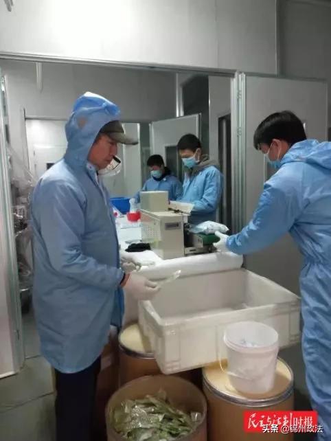 抗击疫情 中国律师在行动 普法周刊
